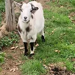 Holiday home Domaine Des Clauzes