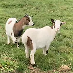 Holiday home Domaine Des Clauzes