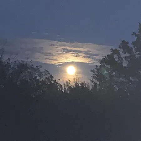 Domaine Des Clauzes *