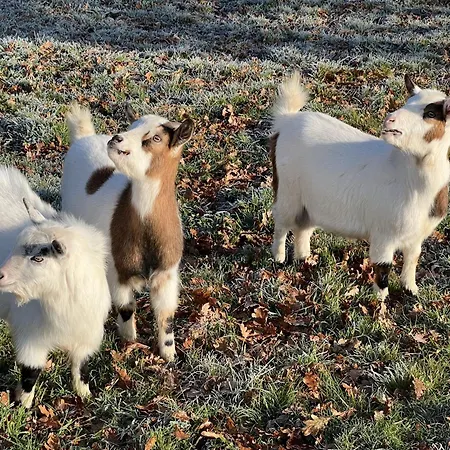 Vakantiehuis Domaine Des Clauzes *