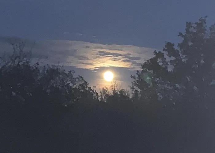 Domaine Des Clauzes *